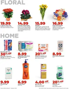 Ad Preview of HyVee Weekly Ad from 10/27/2025 | Page: 31
