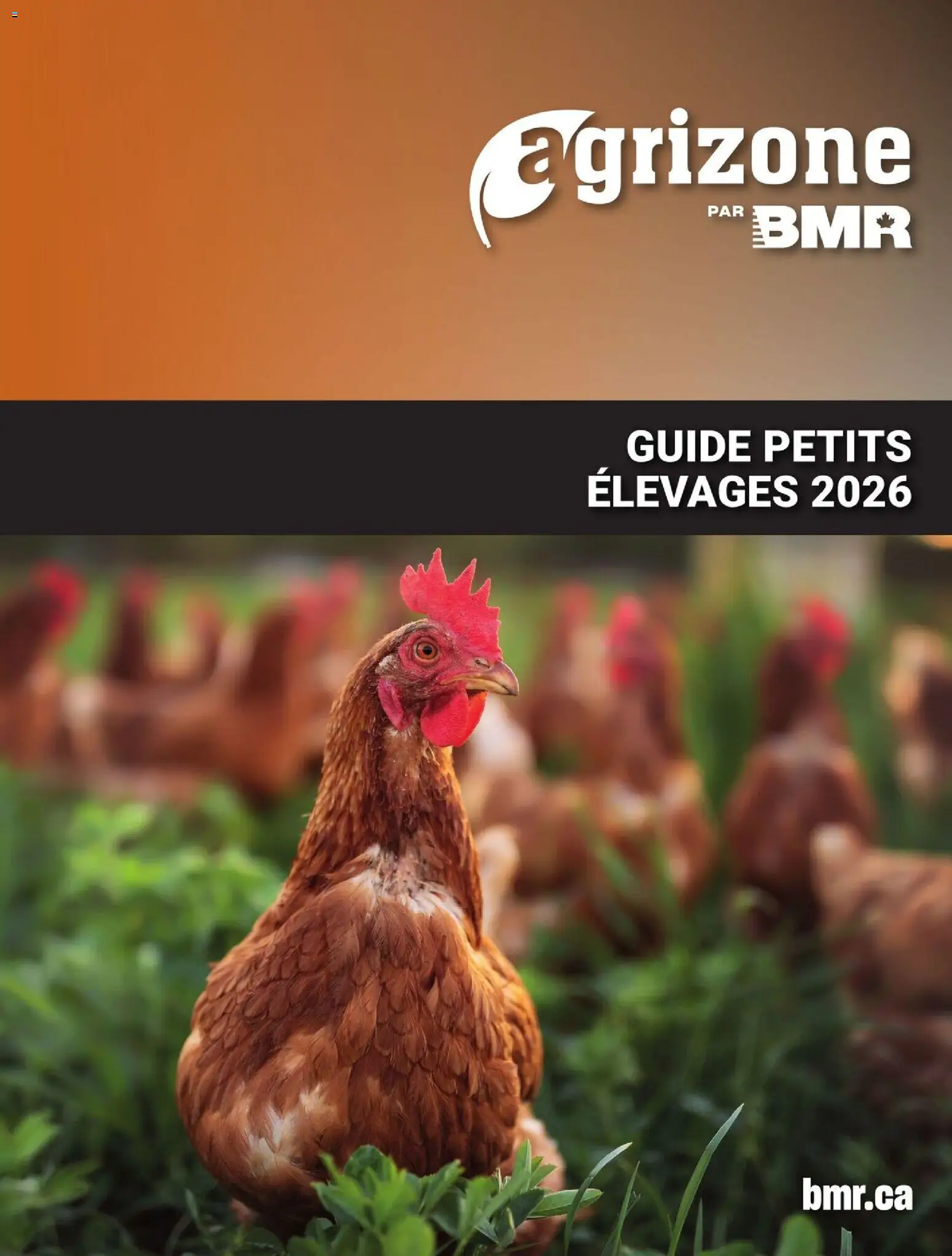 Preview of leaflet Agrizone - Guide Petits Élevages 2026 from shop BMR is valid from Feb 06, 2026