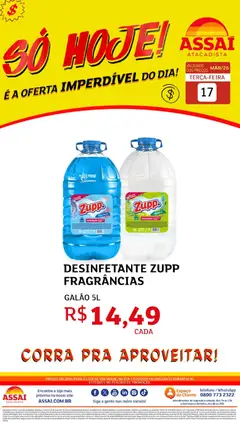 Pré-Visualização do folheto "Assaí Atacadista ofertas - GO" da loja Assaí Atacadista válido a partir de 17/03/2026