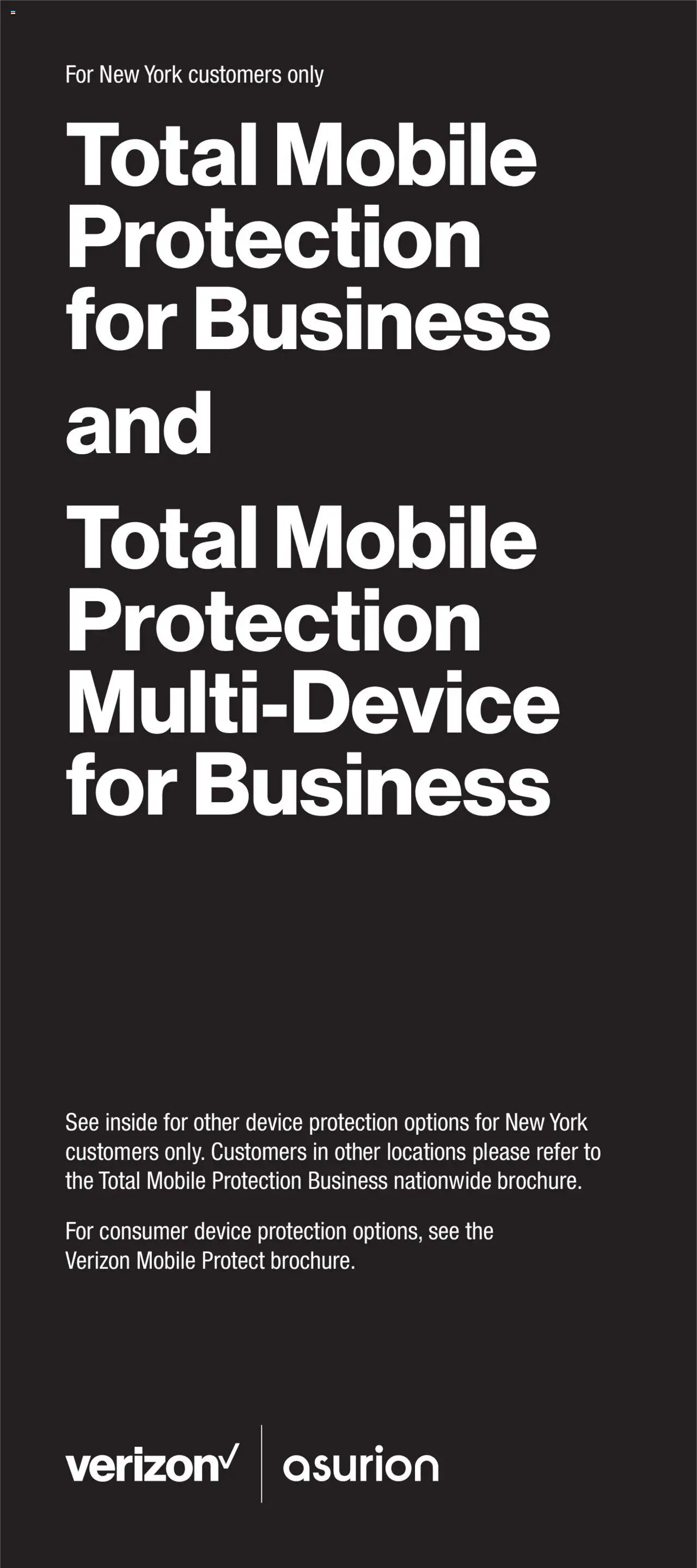 Verizon Total Mobile Protection: For New York customers only from 03/13/2025 - Flyer - Page number 1