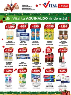 Vista previa del folleto de la tienda Vital válido desde el 19/12/2025 
