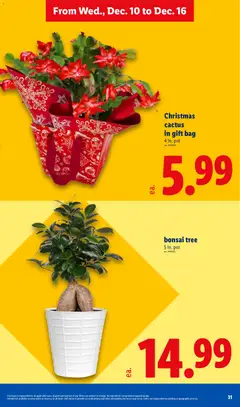 Ad Preview of Lidl Weekly Ad from 12/10/2025 | Page: 31