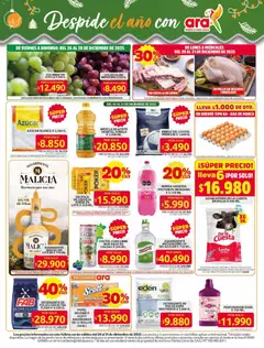  Vista previa del prospecto Ahorra con precios bajos y ofertas en la canasta familiar del almacen Ara válida del 26/12/2025 al 31/12/2025