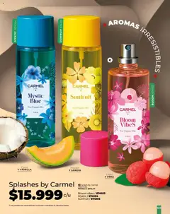  Vista previa del prospecto Carmel C17 2025 del almacen Carmel válida del 25/09/2025 al 31/12/2025 | Página : 173