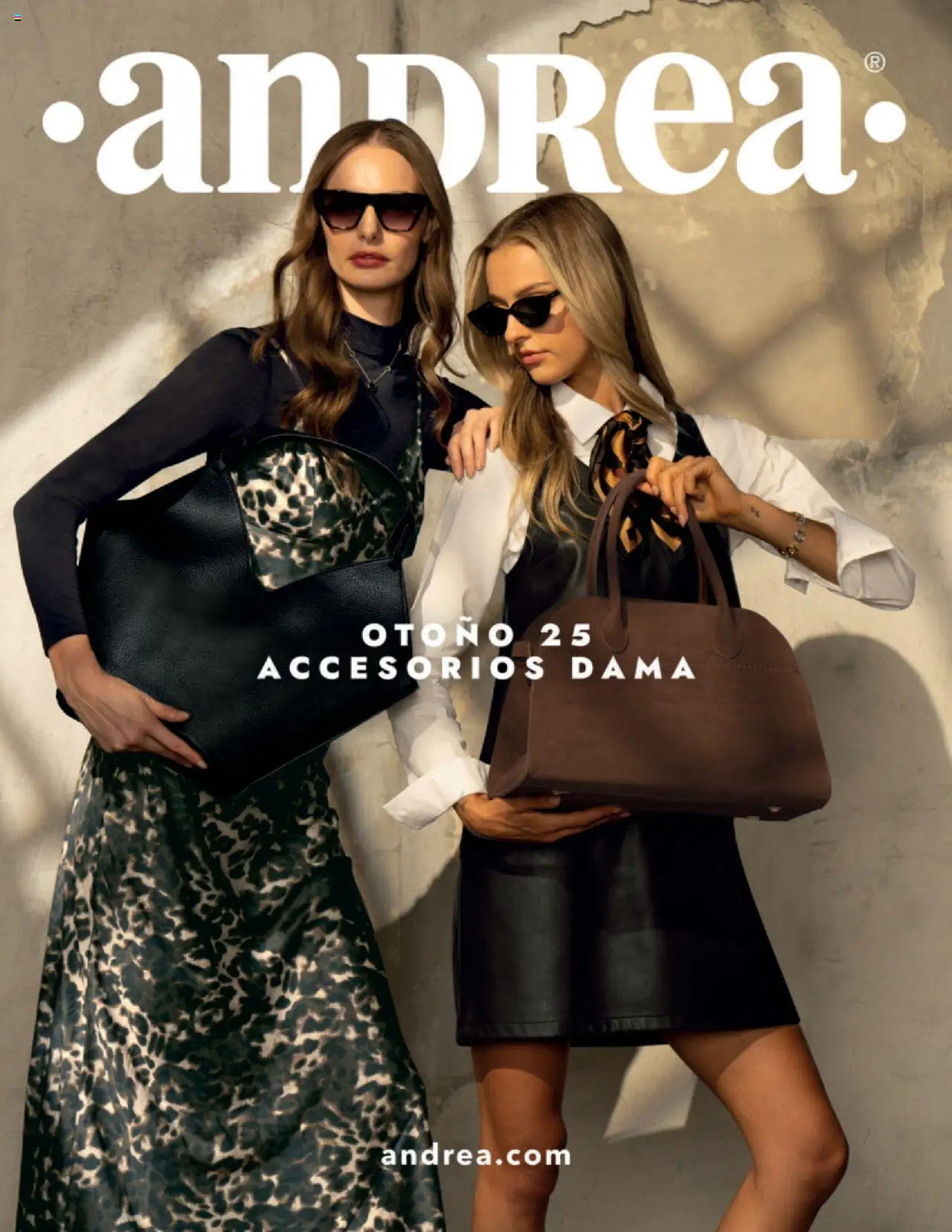 Vista previa las ofertas de la tienda Andrea - Catálogo Accesorios desde el 24/08/2025 