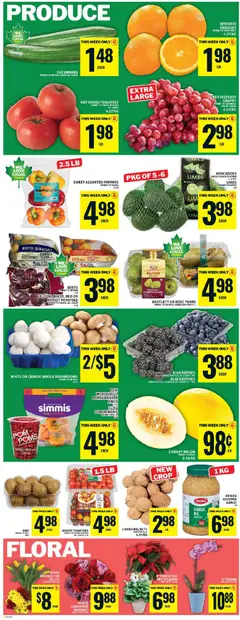 Un aperçu du dépliant Weekly flyer / circulaire du magasin Food Basics est valide à partir 6 nov. 2025 | Page: 6