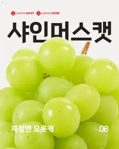 {StrartDate}까지 롯데마트 쇼핑몰에서 전단 현재 전단지 미리 보기