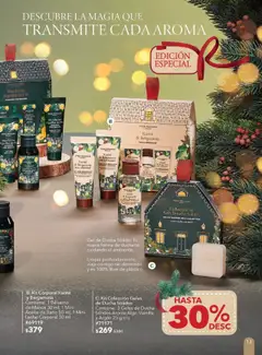 Vista previa las ofertas de la tienda Yves Rocher - Campaña 15 2025 desde el 28/10/2025 | Página: 13