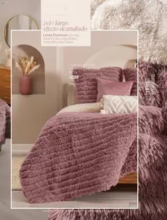 Vista previa las ofertas de la tienda Vianney - Catálogo Invierno desde el 15/08/2025 | Página: 25