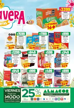 Vista previa del folleto de la tienda Almacor válido desde el 30/10/2025 | Página: 5