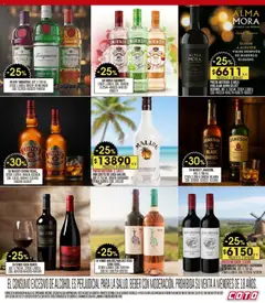 Vista previa del folleto de la tienda Coto válido desde el 10/11/2025 | Página: 15