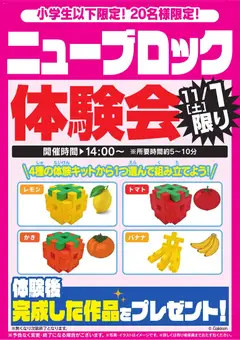 ヤマダ 電機の2025/11/01から2025/11/03までのチラシはここニューブロック体験会 11/1限り