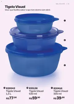 Pré-Visualização do folheto "Catálogo" da loja Tupperware válido a partir de 01/10/2025 | Página: 31