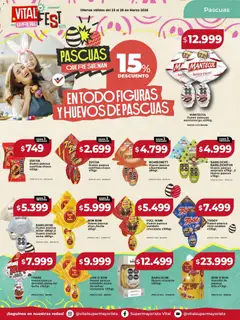 Vista previa del folleto de la tienda Vital válido desde el 23/03/2026 