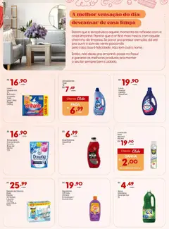 Pré-Visualização do folheto "Ofertas Quinzena da Limpeza" da loja Rissul válido a partir de 11/11/2025 | Página: 2