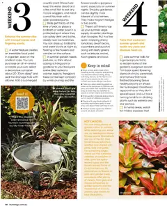 Preview of catalogue Bunnings Catalogue December from shop Bunnings Warehouse valid 01/12/2025 | Page: 46