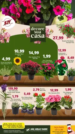 Pré-Visualização do folheto "Ofertas Flores" da loja São Judas Tadeu válido a partir de 21/08/2025