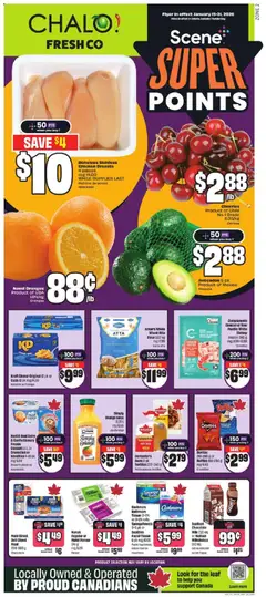 Un aperçu du dépliant Weekly Flyer - ON du magasin FreshCo est valide à partir 15 janv. 2026