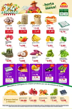 Pré-Visualização do folheto "Encarte - SP" da loja Assaí Atacadista válido a partir de 09/12/2025