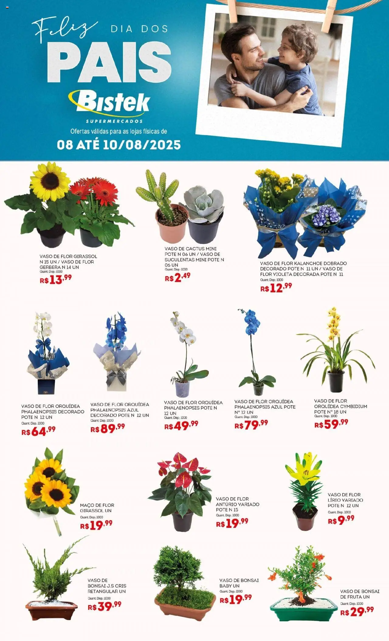 Bistek Supermercados folheto "Ofertas Flores" válido a partir de 08/08/2025 - número de página 1 - Orquídea, Vaso, Gerbera