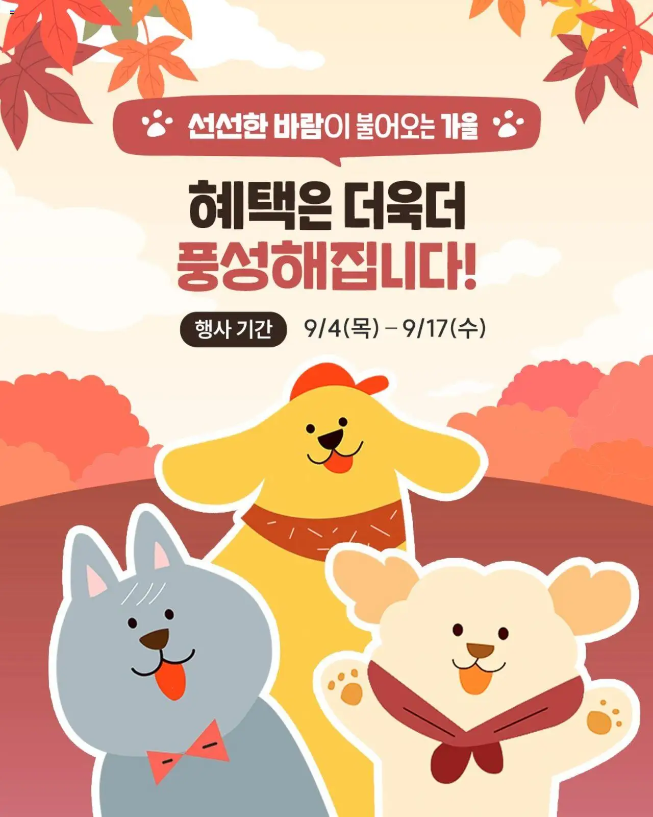 이마트 플레이어 (2025/09/04) - 새로운 제안 2025/09/04부터 유효 - 페이지 번호 1