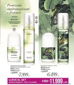 Vista previa del folleto de la tienda Violetta válido desde el 01/12/2025 | Página: 25