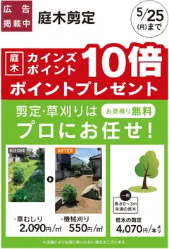 カインズ ホームの2026/03/09から2026/05/25までのチラシはここカインズ ホーム - 庭木剪定