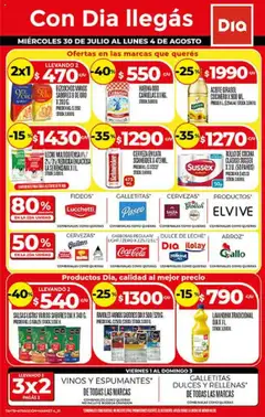 Vista previa del folleto de la tienda Dia válido desde el 30/07/2025 