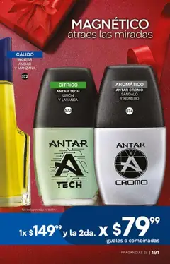 Vista previa las ofertas de la tienda Fuller - Campaña 15 2025 desde el 29/10/2025 | Página: 191