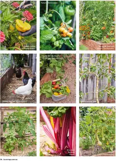 Preview of catalogue Bunnings Catalogue October from shop Bunnings Warehouse valid 01/10/2025 | Page: 24