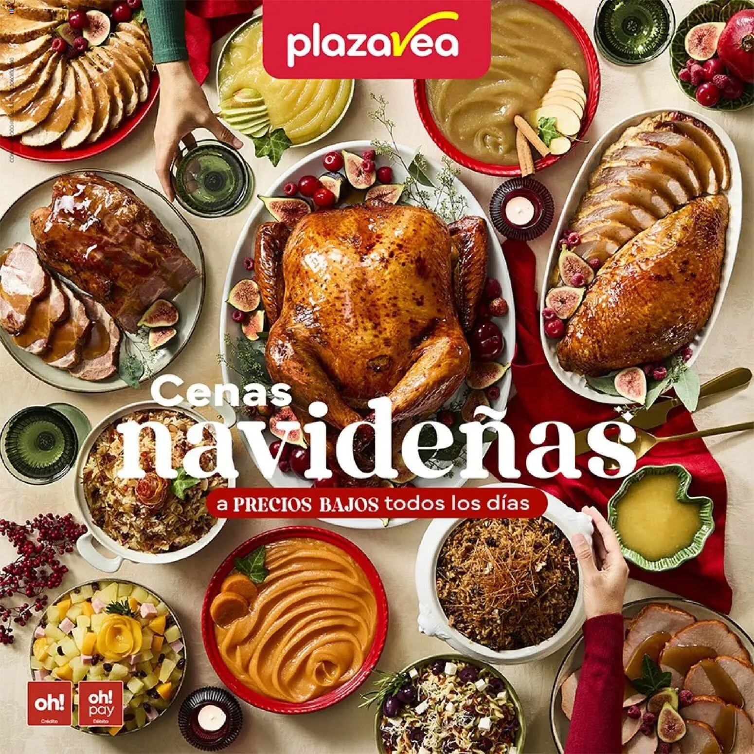Vista previa de Catálogo de la tienda Plaza Vea válido desde 10/12/2025