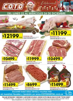 Vista previa del folleto de la tienda Coto válido desde el 22/12/2025 