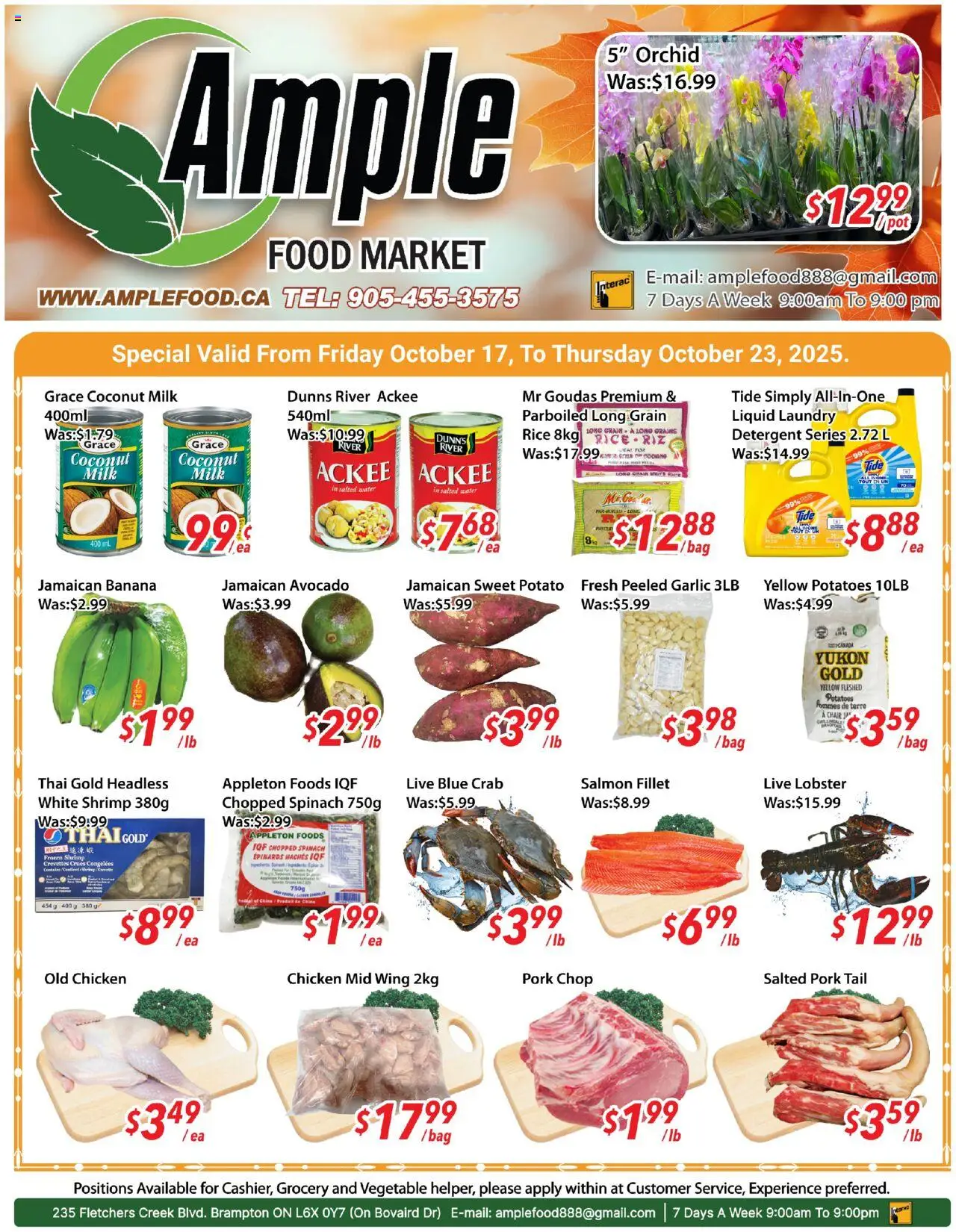 Ample Food Market flyer valid from Oct 17, 2025 - page number 1