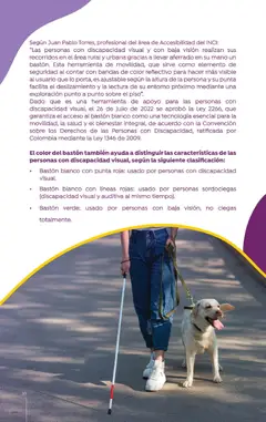  Vista previa del prospecto Catálogo Colsubsidio del almacen Colsubsidio válida del 01/10/2025 al 30/11/2025 | Página: 38