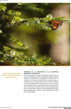 Vista previa las ofertas de la tienda Bodegas Alianza - Catálogo Cava Morada desde el 01/10/2025 | Página: 26