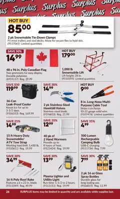 Preview of leaflet 2 Week Sale! from shop Princess Auto is valid from Dec 02, 2025 | Page: 31