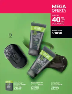 Vista previa de Ciclo 19 de la tienda Avon válido desde 01/12/2025 | Página: 141