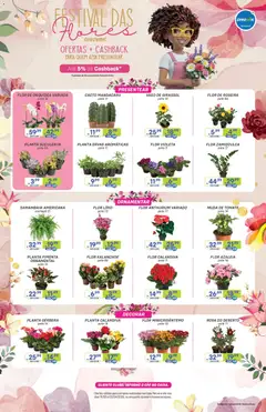 Pré-Visualização do folheto "Prezunic ofertas Festival das Flores" da loja Prezunic válido a partir de 19/03/2026