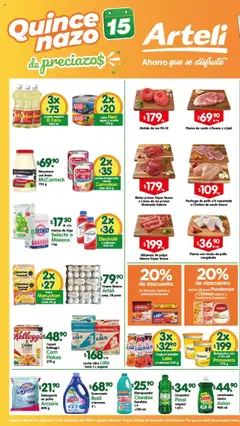 Vista previa las ofertas de la tienda Arteli - Folleto Express desde el 16/09/2025 
