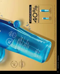 Vista previa de Campaña 16 de la tienda L'Bel válido desde 03/10/2025 | Página : 13