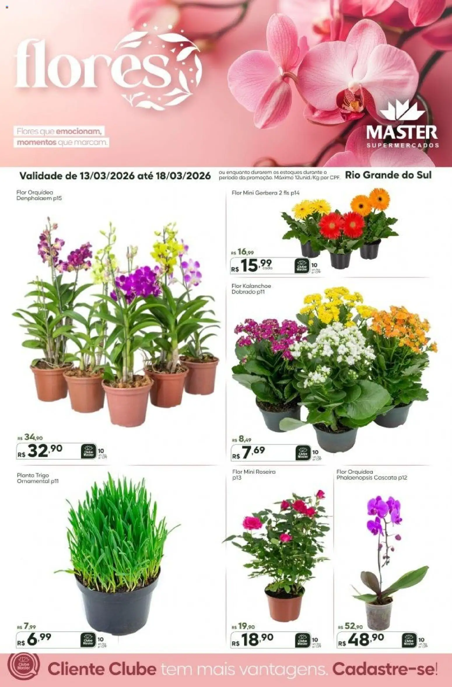 Pré-Visualização do folheto "Master ofertas Flores" da loja Master válido a partir de 13/03/2026 - Flores, Orquídea, Gerbera