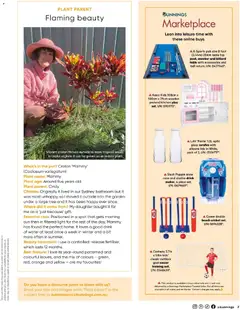 Preview of catalogue Bunnings Catalogue November from shop Bunnings Warehouse valid 01/11/2025 | Page: 7