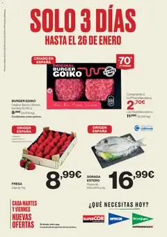 Vista previa las ofertas de la tienda El Corte Inglés - Catálogo desde el 23/01/2026 