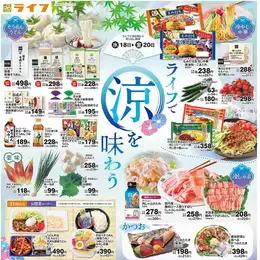 オリジナル チラシ 2025/06/20) ~ (2025/06/18 コレクション