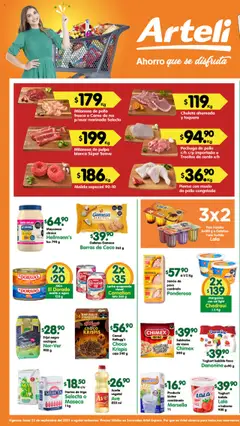 Vista previa las ofertas de la tienda Arteli - Folleto Express desde el 22/09/2025 
