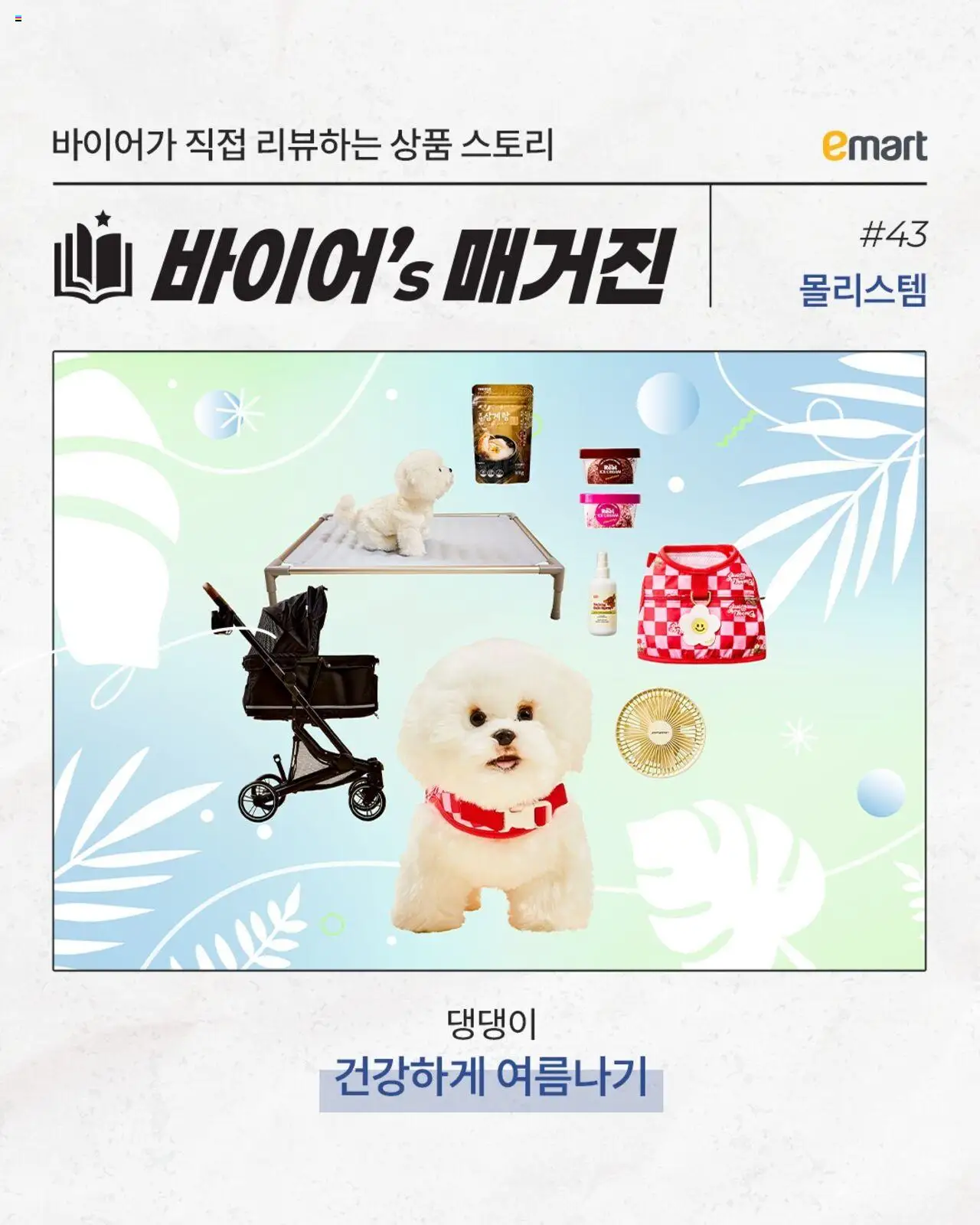 이마트 플레이어 (2025/07/31) - 새로운 제안 2025/07/31부터 유효 - 페이지 번호 1