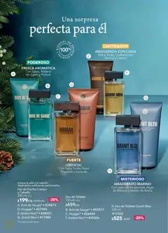 Vista previa las ofertas de la tienda Yves Rocher - Campaña 16 2025 desde el 19/11/2025 | Página: 30
