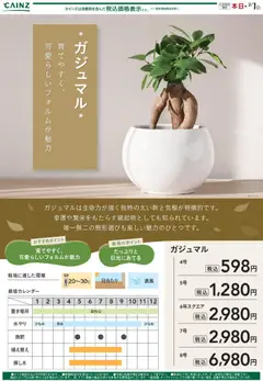 カインズ ホームの2026/01/02から2026/02/01までのチラシはここカジュマル