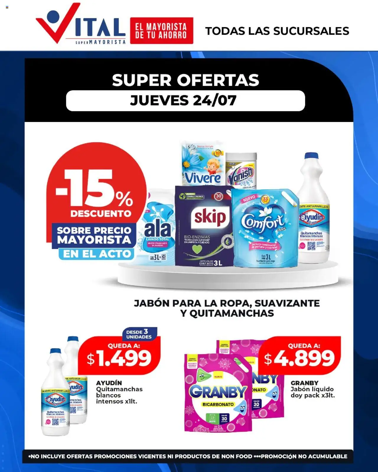 Vital Super ofertas | del 24/07/2025 >> Catálogo