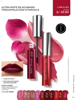 Vista previa de Campaña 18 de la tienda L'Bel válido desde 14/11/2025 | Página : 33